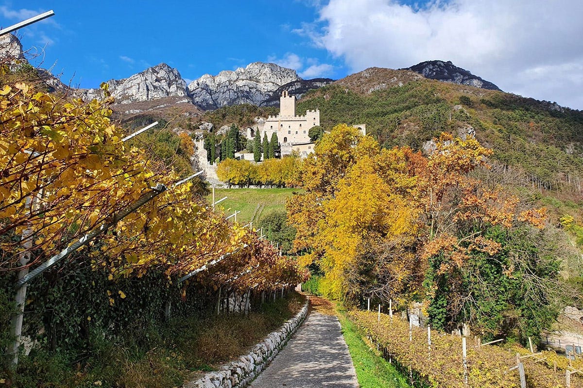 DiVin ottobre: in Trentino l'autunno si tinge di gusto